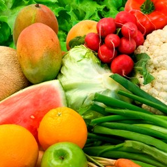 Food Allergy Elimination Diet  with Dr. Kalfas
